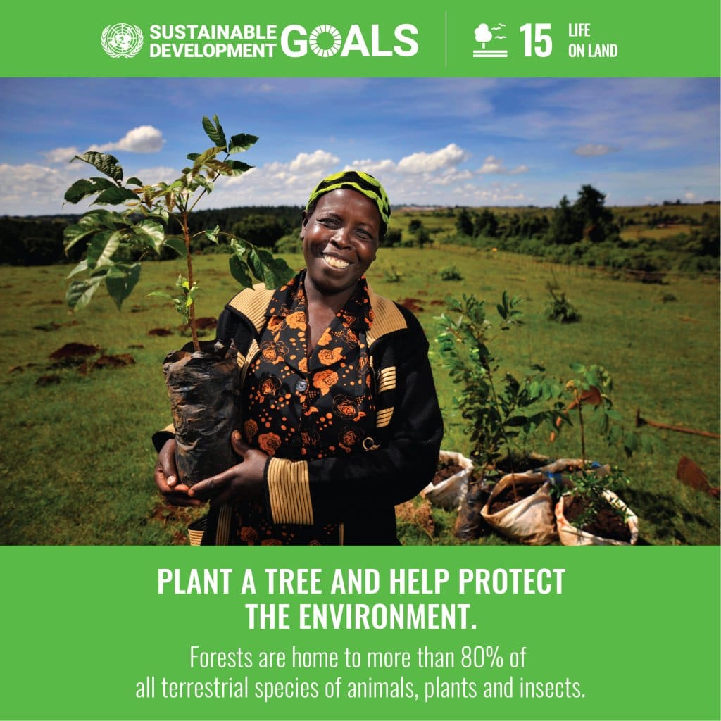 A poster of a woman holding a tree in the middle of a field.